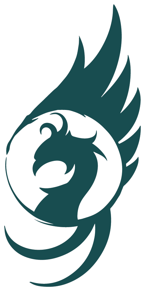 Sanda Volley